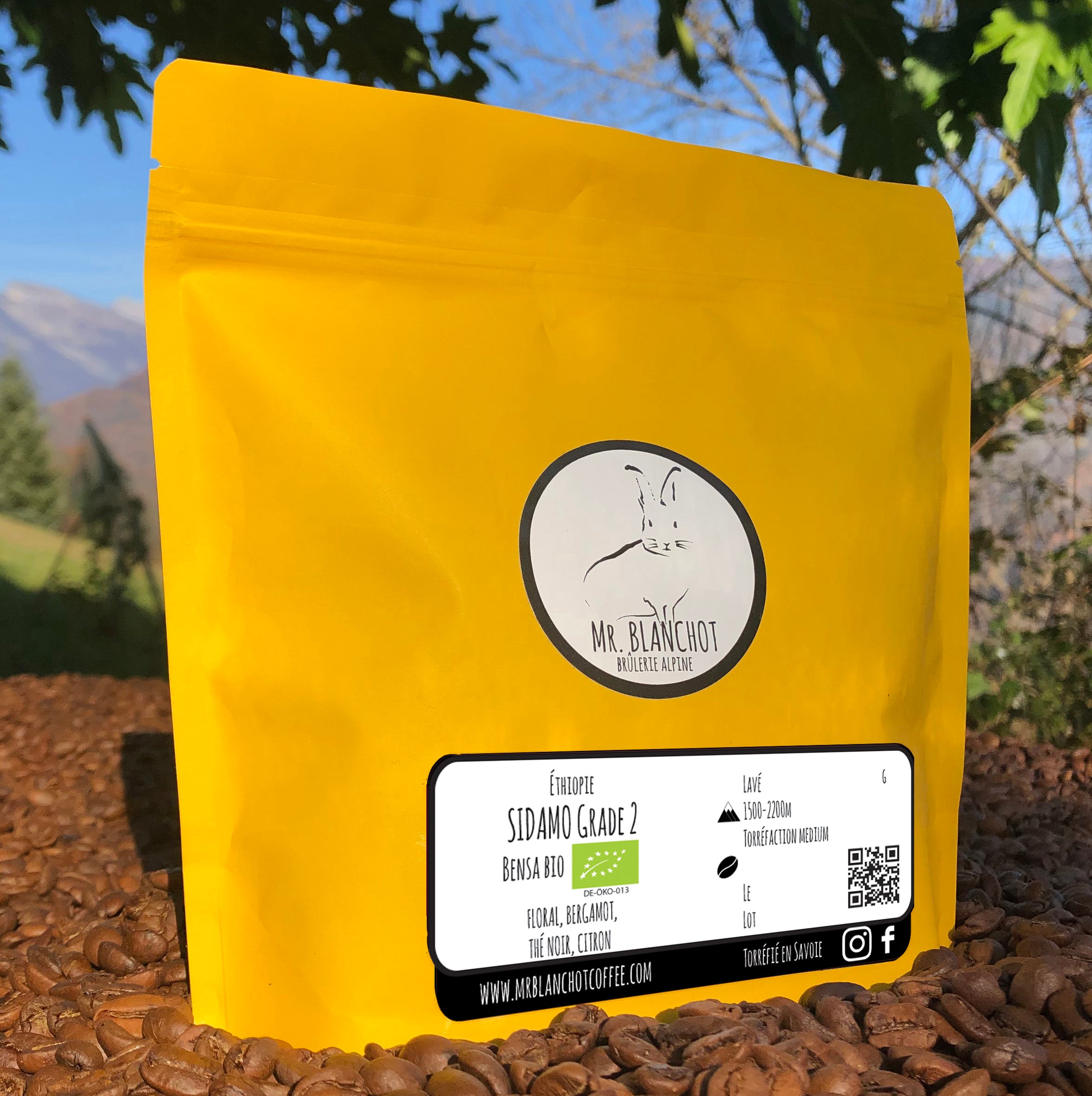 Sidamo Bensa - Café biologique | Éthiopie 100% ARABICA